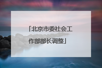 北京市委社会工作部部长调整